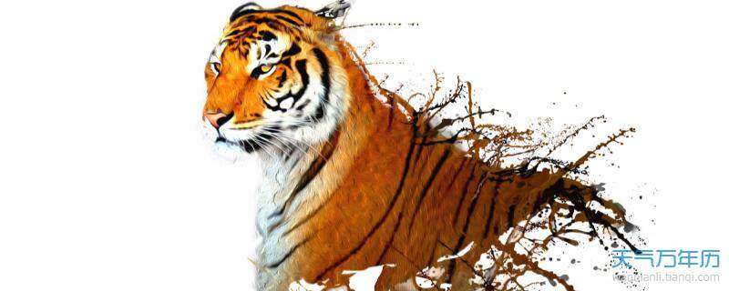 生肖属虎的今年多少岁