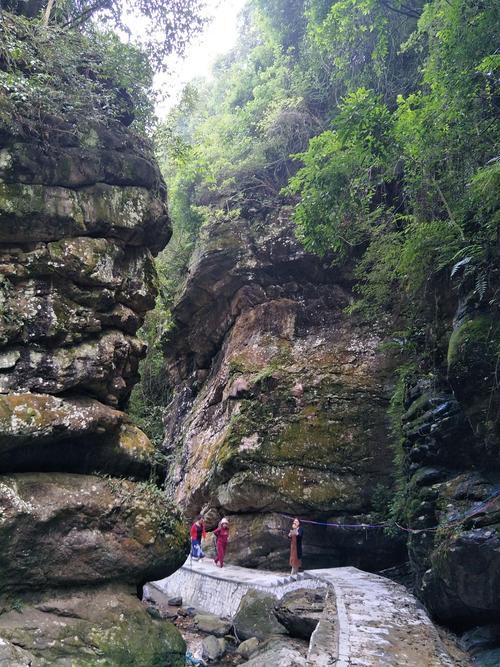 大脑山栈道