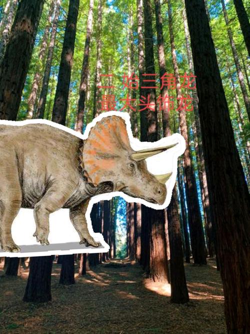 有古生物学家任务牛角龙可能是三角龙的老年个体,但是现在还没有被