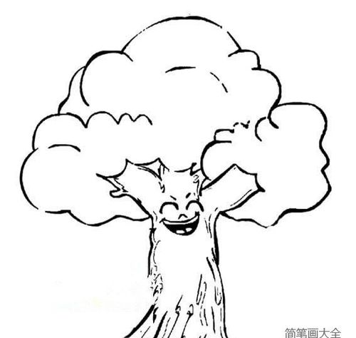 一棵大树简笔画图片