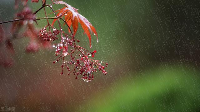 一场秋雨一场冬你的城市下雨了吗