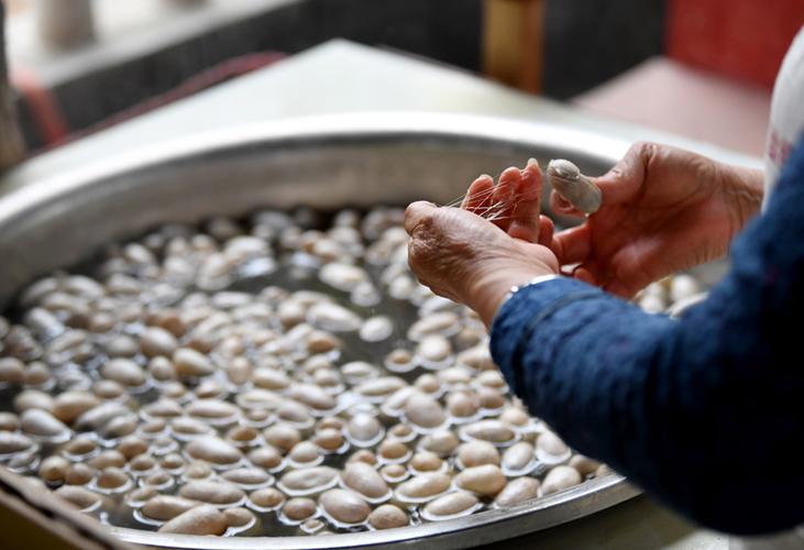 5月13日,鲁山县四棵树乡张沟村蚕农在缫丝.