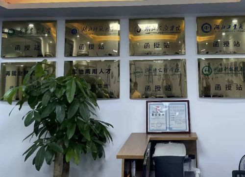 成人高考在机构报名和在直属函授站报名的区别