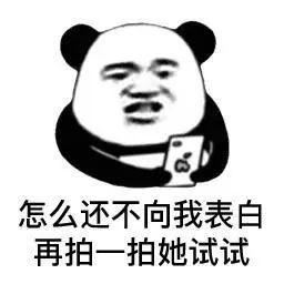罪名:乱拍人.