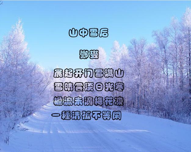 今日大雪
