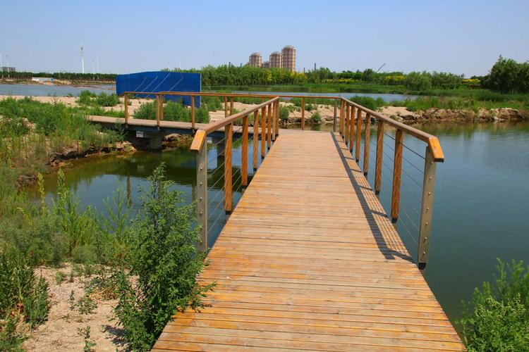 塘沽贝壳堤湿地公园