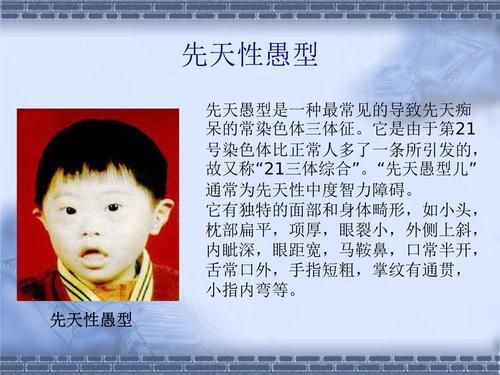 八年级上册第6节 遗传病和人类健康多媒体教学免费课件ppt