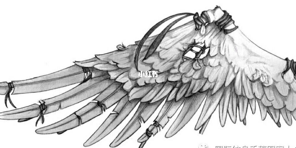 翅膀纹身图案_纹身_纹身手稿_文化_绘画