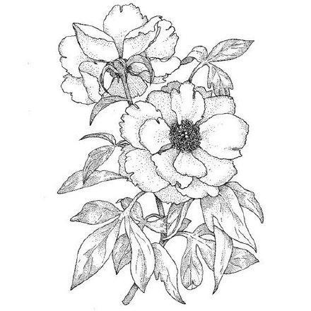 这时候,我们可以刺绣一些花花草草,简简单单的小图案啊.