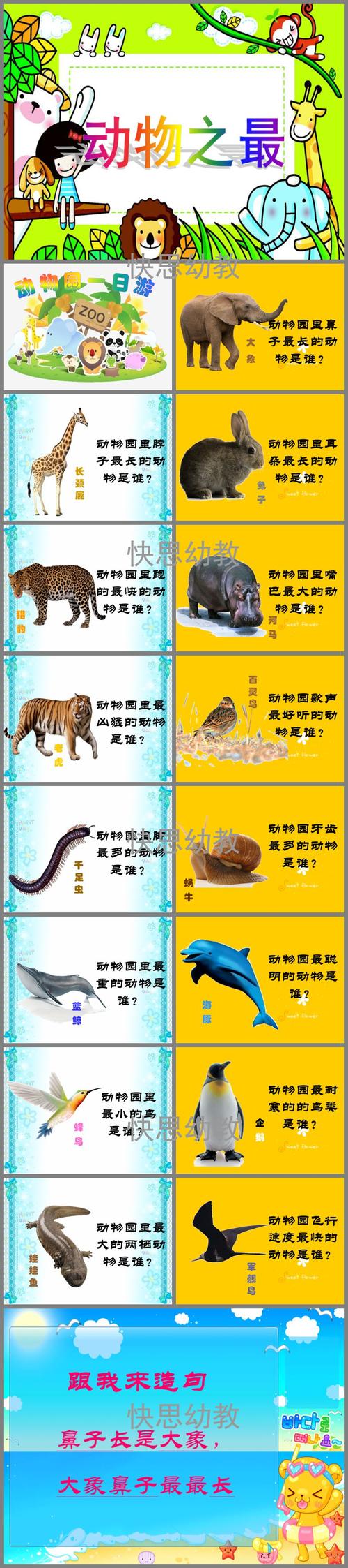 幼儿园动物之最ppt课件教案
