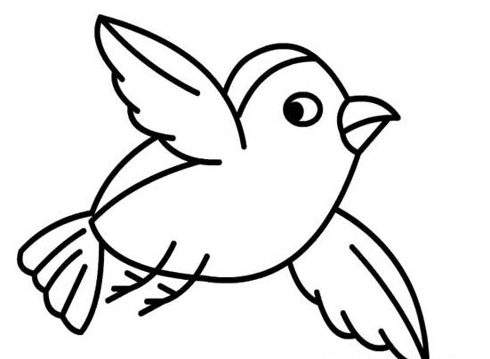 飞翔小鸟的简笔画图片小鸟儿童绘画作品图集