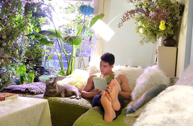 丁汇宇 huiyu ding的图片