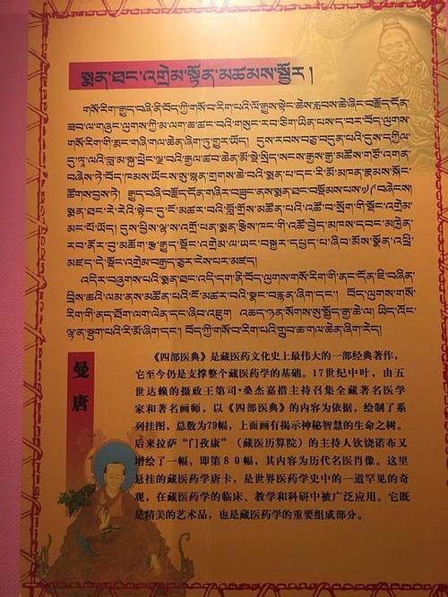 喵大仙的相册-中国藏医药文化博物馆