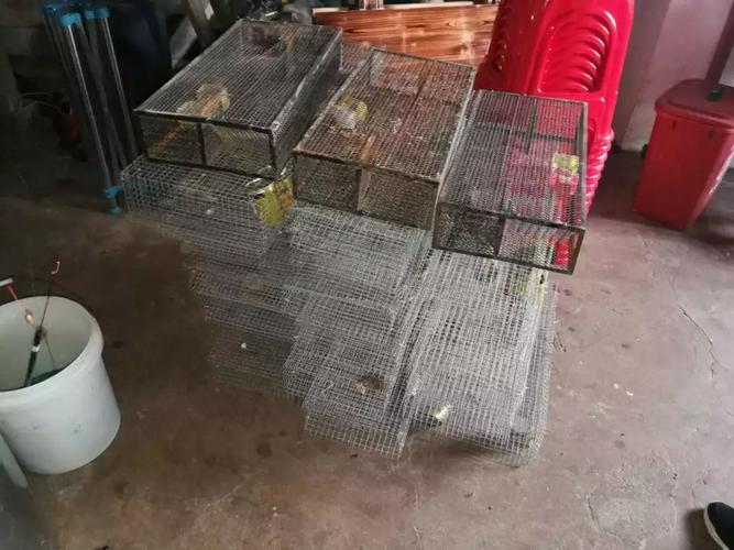 武义县公安局民警于周某家中当场查获用于捕蛇的蛇笼23只,以及来不及