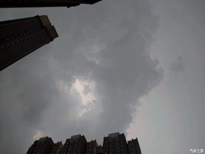 狂风暴雨中,俺家tt幸运躲过一劫