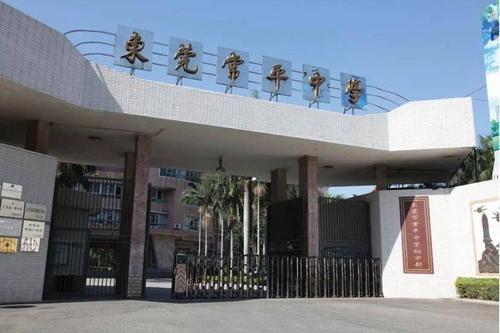 常平中学初中部 | 凤凰花熟悉地绽放了