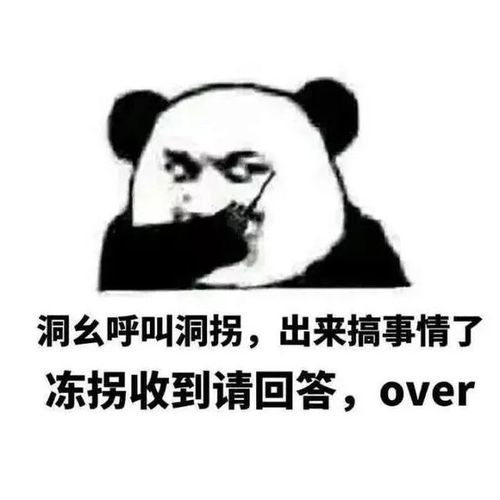 对讲机表情包洞幺呼叫洞拐收到请回答over