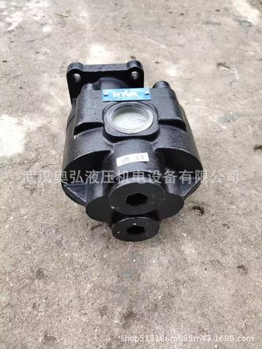 新款hyva250/230海沃泵环卫车垃圾车液压泵