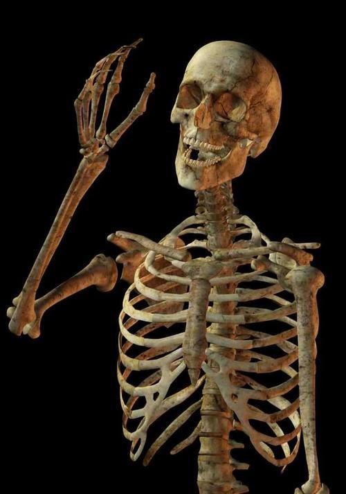 骷髅人图片折纸