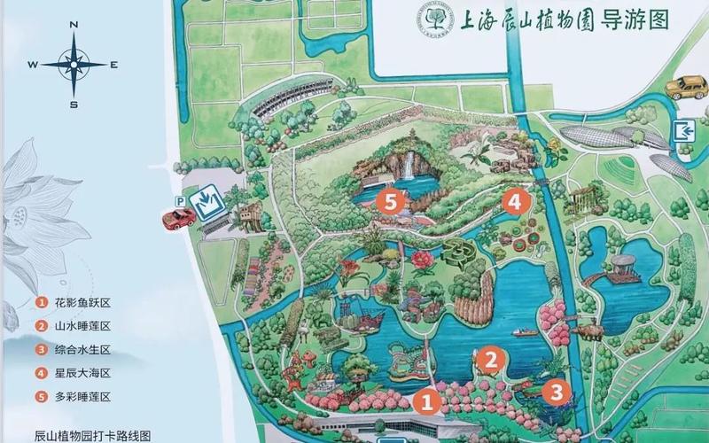 即将上线与游客见面8月18日至9月18日, 游客凭当日辰山植物园全价