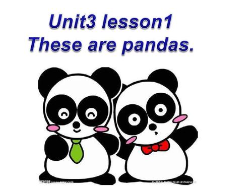 鲁科版英语三年级下册unit 3 lesson 1these are pandas课件