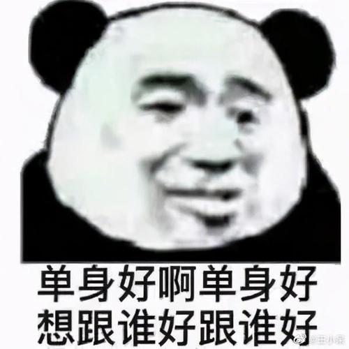 母胎solo恋爱综艺