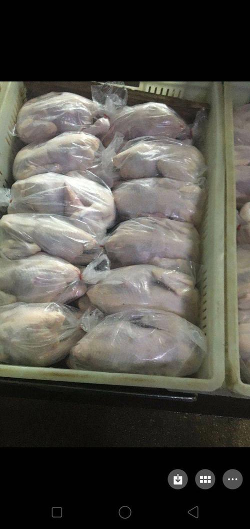 白条鸡 品种名:白条鸡 货品类别:冷冻 保质期:18-24个月 真空包装:否