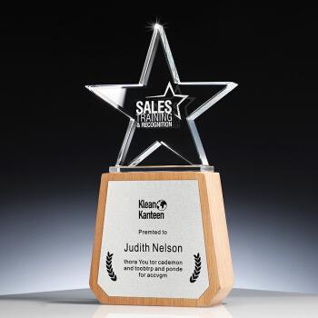 水晶奖杯定制创意实木头新款五角星奖杯奖牌定做水晶木质刻字荣誉员工