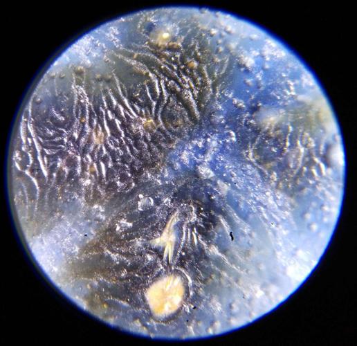 国宝元青花一龙纹大盘的鉴赏