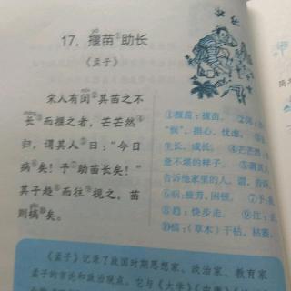 17揠苗助长