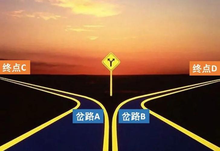你担心这两条岔路是 渐行渐远的两条单行道,一旦走了其中一条,就没
