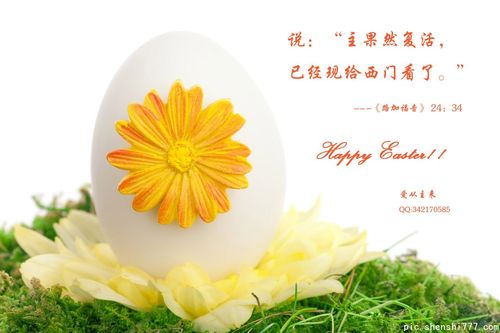 金句壁纸_基督教图片网