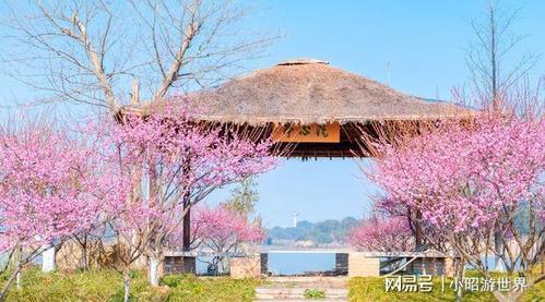 杜牧诗中的"杏花村"到底在哪?有定论了