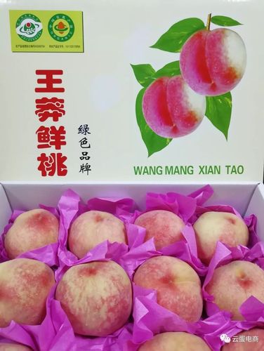 长安小江南王莽鲜桃电商之路怎么走