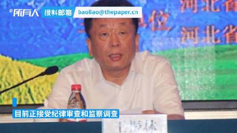 【农行河北分行原副行长王振林,. - @凤凰网财经 的