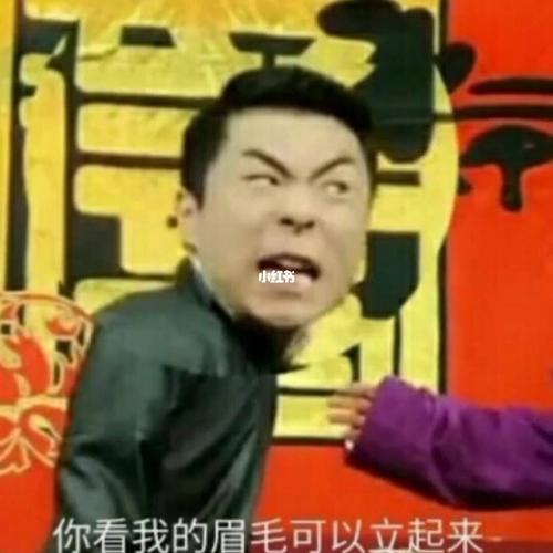 张～剑～宇～_表情包_张九南_素材_表情包