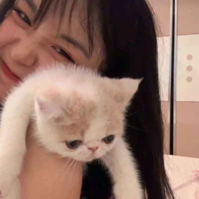 抱猫女生头像