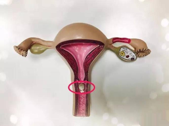 宁密康用过怎么样 宁密康官方销售