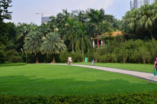 深圳荔枝公园