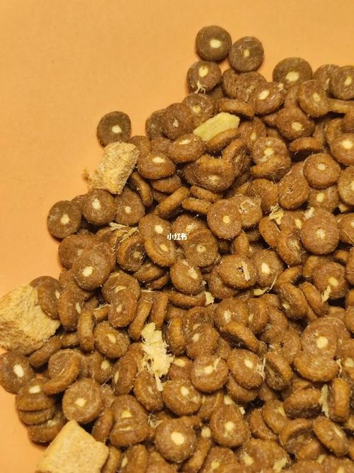 蓝氏猎鸟乳鸽猫粮