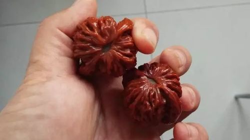 什么是麦穗虎头核桃