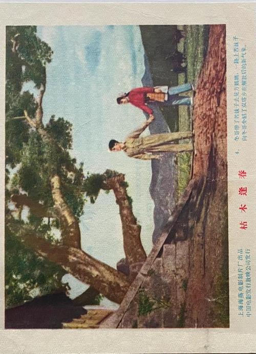 老电影彩色故事片:《枯木逢春》剧照