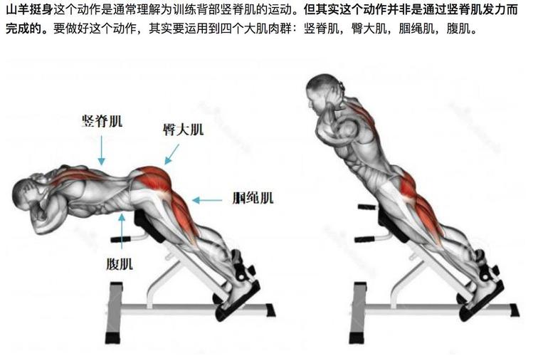 山羊挺身变化:你可以用直把代替v型把手,正握(手掌向下)或者反握