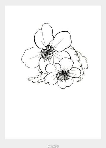 棣棠花的简笔画