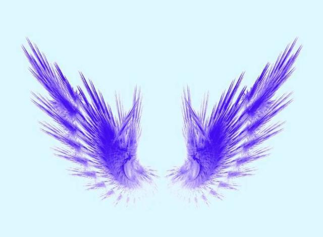 12星座独有的"羽翼",水瓶座的很抢眼,狮子座是冰与火的碰撞!