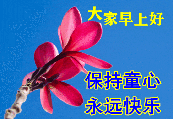 7月15日最漂亮早上好动态表情图片大全,早晨好动图美图大全