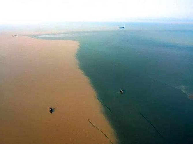 游:黄河入海口生态旅游区