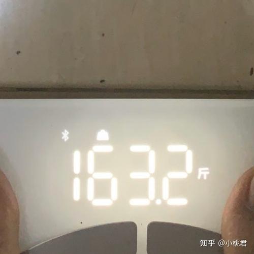 体脂秤:华为荣耀体脂秤目标体重:90斤初始体重:163斤身高:158cm1 人