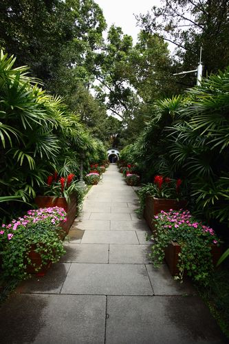 广州兰圃兰花展之——兰圃随拍(2)