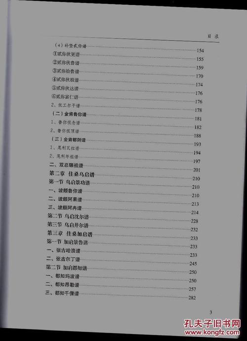 精装本阿普佳桑家谱杨氏彝族家谱少数民族家谱彝文汉文对照精装封面